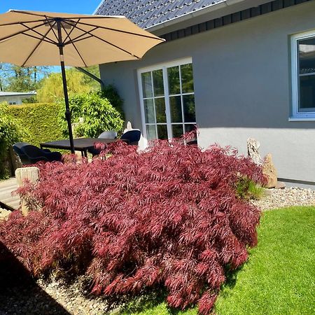 Ferienhaus Buhne 31 Prerow Eksteriør bilde
